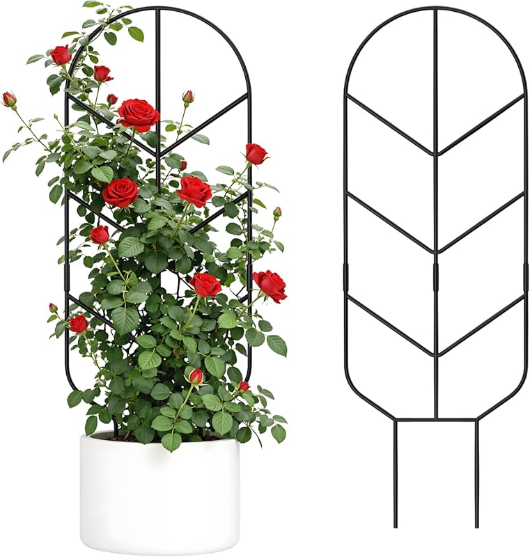 2 Pack 30'' Tall Metal Plant Trellis, Modern Decorative Support for Po