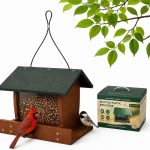 5 Best Small Bird Feeder for Your Garden