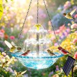 5 Best Bird Baths to Attract Birds for Your Garden