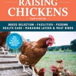 5 Best Backyard Chicken Breeds for Beginners: Expert Picks for Your Coop