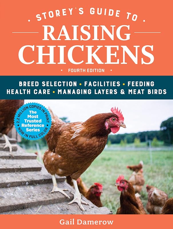 5 Best Backyard Chicken Breeds for Beginners: Expert Picks for Your Coop