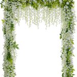 5 Best Vines for Pergola: Expert Picks for a Stunning Garden Oasis