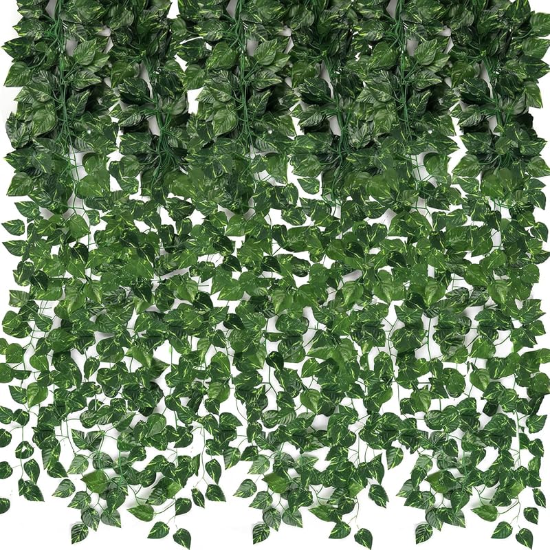 CEWOR Ivy