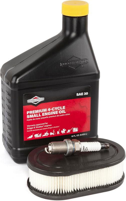 Briggs & Stratton Tune-Up Kit