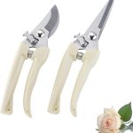 5 Best Flowers For Cutting Garden To Boost Your Garden’s Quality