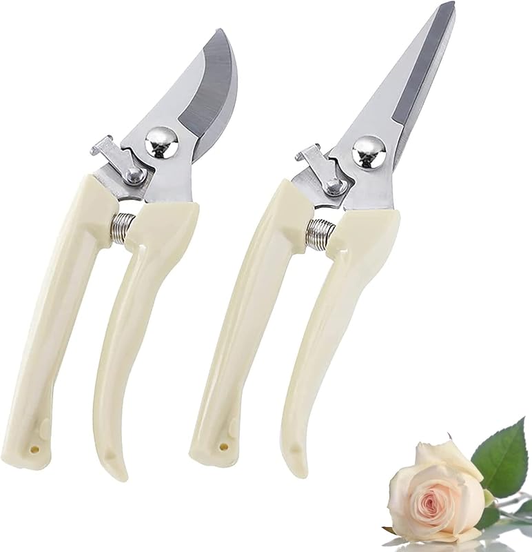 5 Best Flowers For Cutting Garden To Boost Your Garden’s Quality