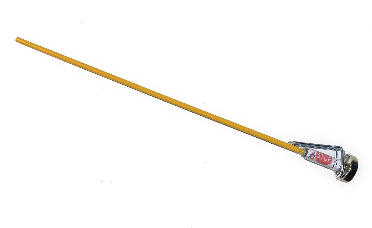 Ruler