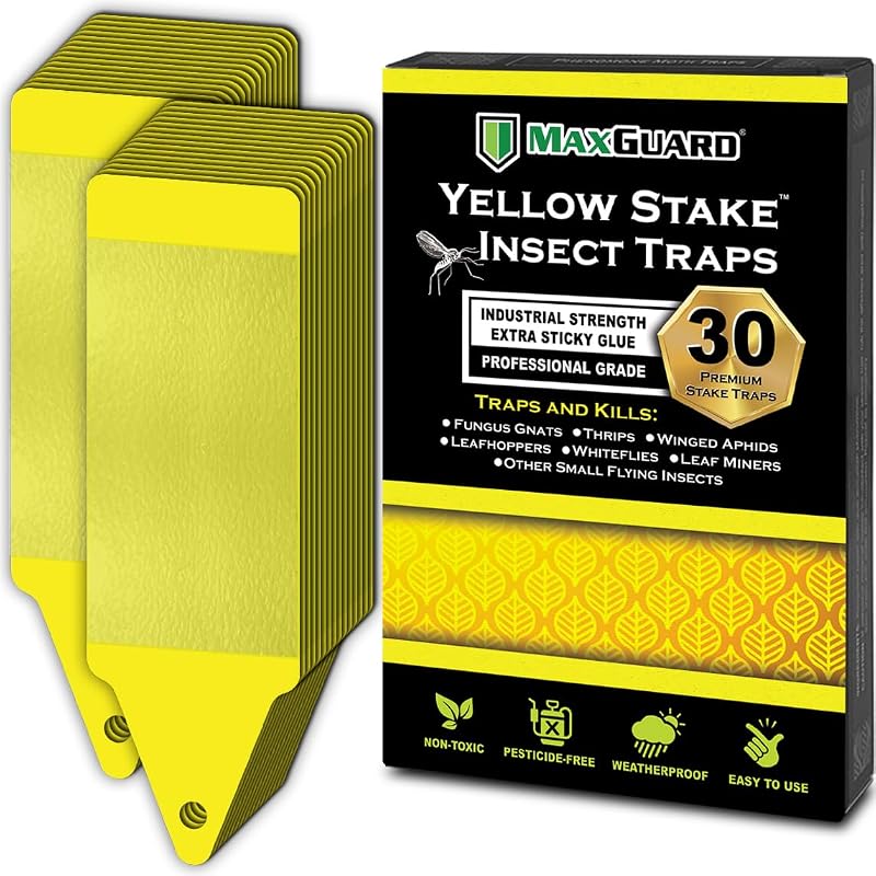 MAXGUARD Traps