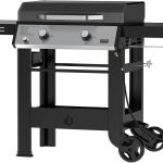 5 Best BBQ Grills for Expert-Level Grilling in 2024