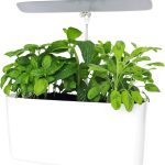 5 Best Indoor Herb Gardens With Grow Lights for Year-Round Freshness