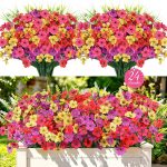 5 Best Garden Flowers for a Stunning and Vibrant Landscape