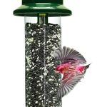 5 Best Cardinal Bird Feeders for Your Backyard: Expert-Tested Picks