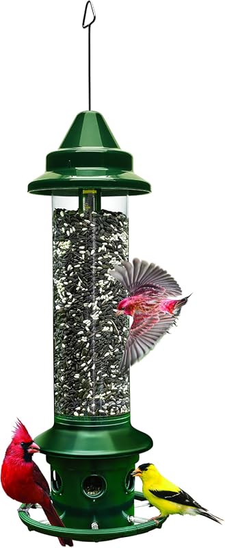 5 Best Cardinal Bird Feeders for Your Backyard: Expert-Tested Picks