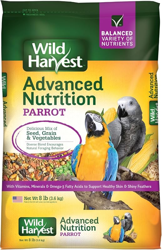 5 Best Wild Bird Feeds: Expert Picks for a Thriving Backyard Sanctuary