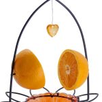 5 Best Oriole Bird Feeders: Expert Picks for Your Backyard Sanctuary
