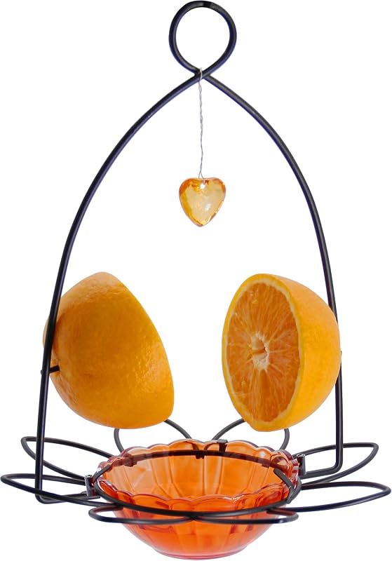 5 Best Oriole Bird Feeders: Expert Picks for Your Backyard Sanctuary