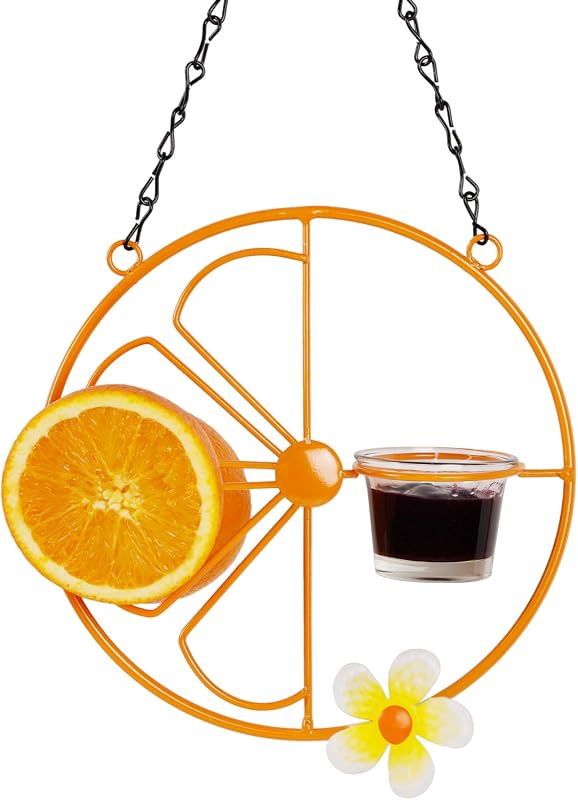 FORUP Hanging Oriole Bird Feeder
