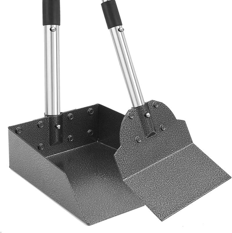 Metal Tray and Spade