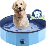 5 Best Backyard Pools for Dogs: Expert Reviews and Top Picks for 2024