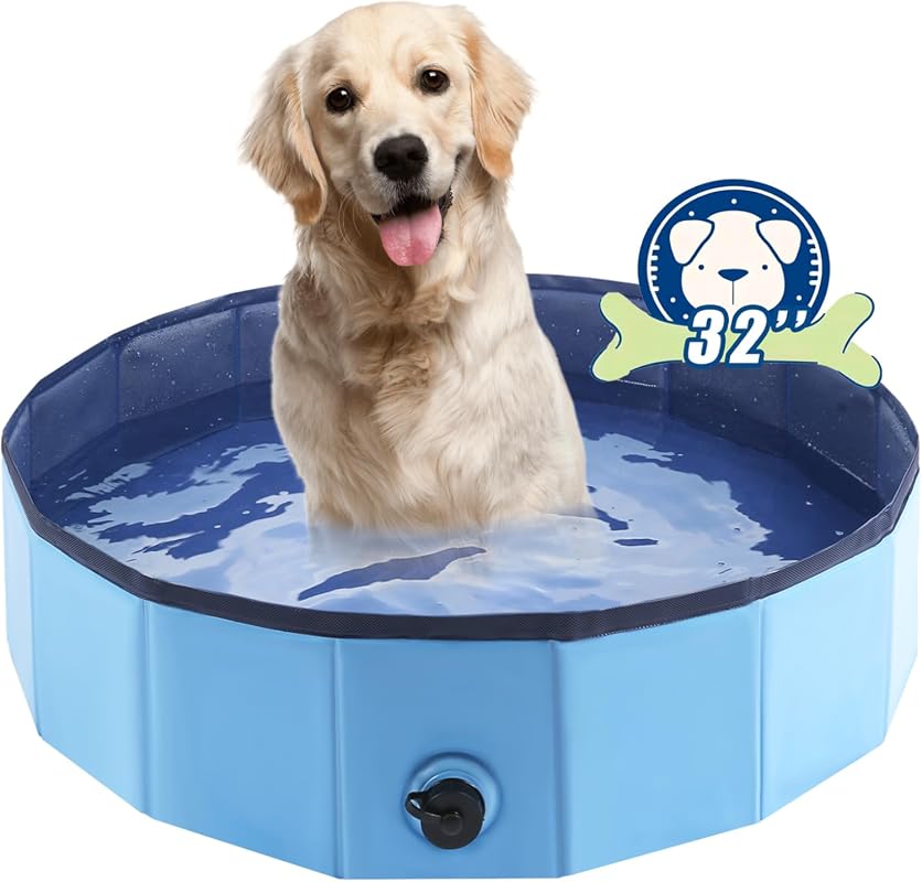 5 Best Backyard Pools for Dogs: Expert Reviews and Top Picks for 2024
