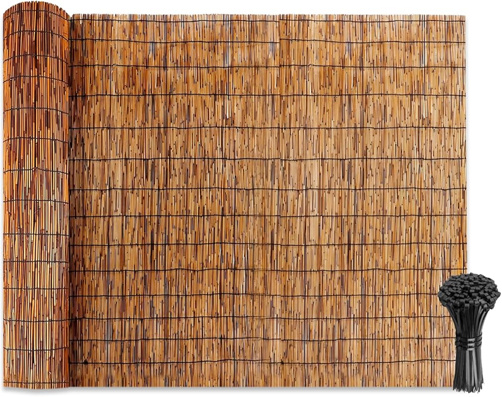 Bamboo Fence