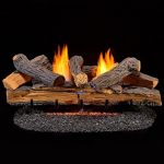5 Best Gas Fireplace Inserts With Blower: Expert Picks for Maximum Warmth