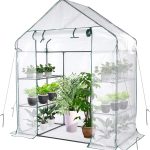 Best Inexpensive Greenhouse Reviewed: Our Top 5 Picks