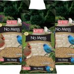5 Best Bird Feeds for Cardinals: Expert Picks for a Vibrant Backyard