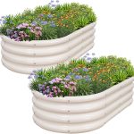 5 Best Raised Garden Plants for a High-Yield and Flourishing Harvest