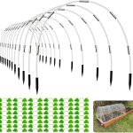 5 Best Greenhouse Bases for a Sturdy, Long-Lasting Garden Setup