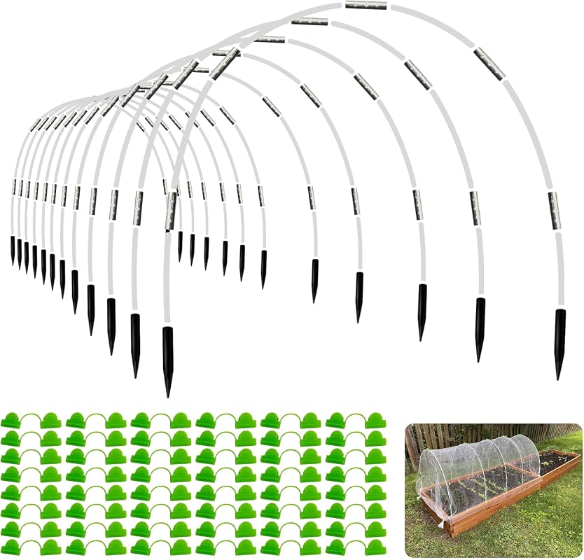 5 Best Greenhouse Bases for a Sturdy, Long-Lasting Garden Setup