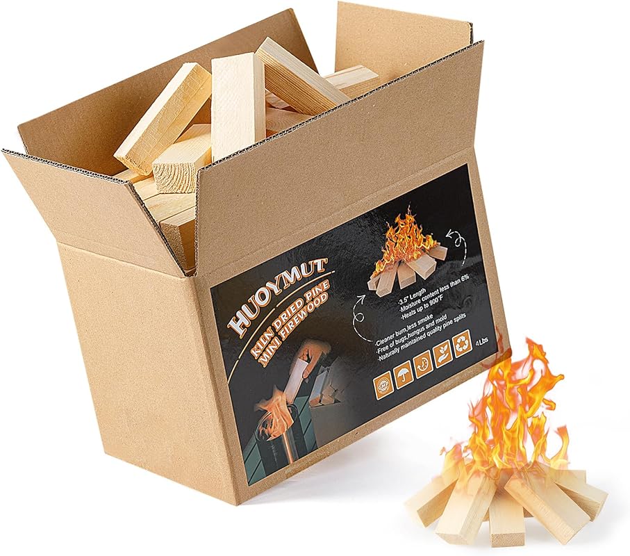 Mini Fire Stick