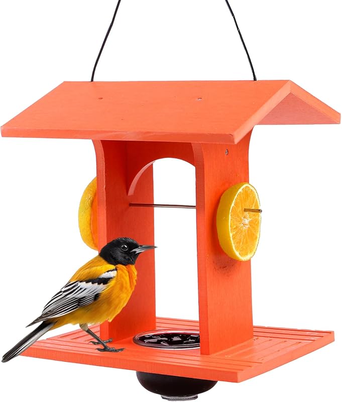 Oriole Jelly Feeder