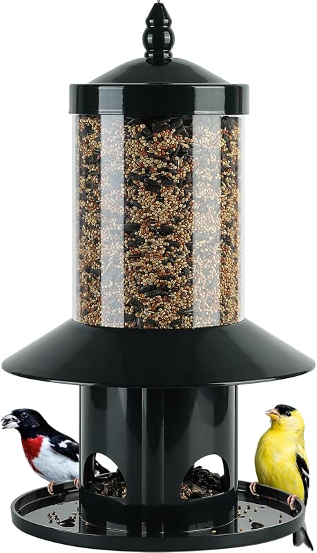 5 Best Bird Feeder Placement Ideas for a Thriving Backyard Haven