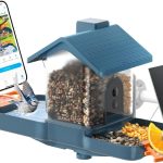 5 Best Bird Camera Feeders for Crystal-Clear Backyard Wildlife Views