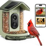 5 Best Bird Feeder Cameras Without Subscription: Top Picks for 2024