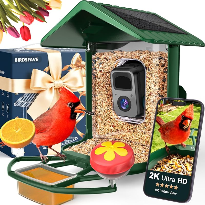 2K Bird Feeder Camera