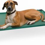 5 Best Durable Hammocks for Pet Owners: Expert Picks for Comfort and Safety