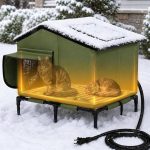 5 Best Outdoor Cat Shelters for Winter: Expert Picks for Maximum Warmth