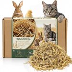 5 Best Heated & Insulated Beds for Outdoor Cats to Stay Warm This Winter