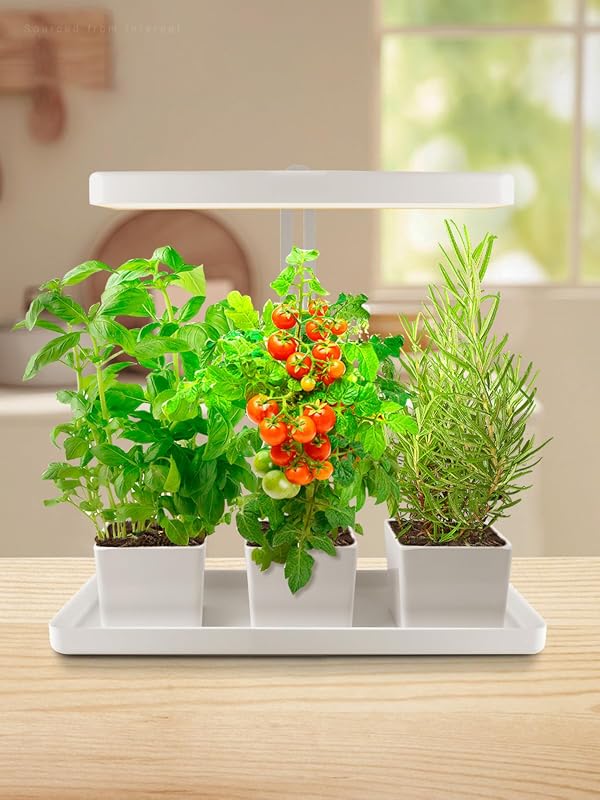 TORCHSTAR Indoor Herb Garden