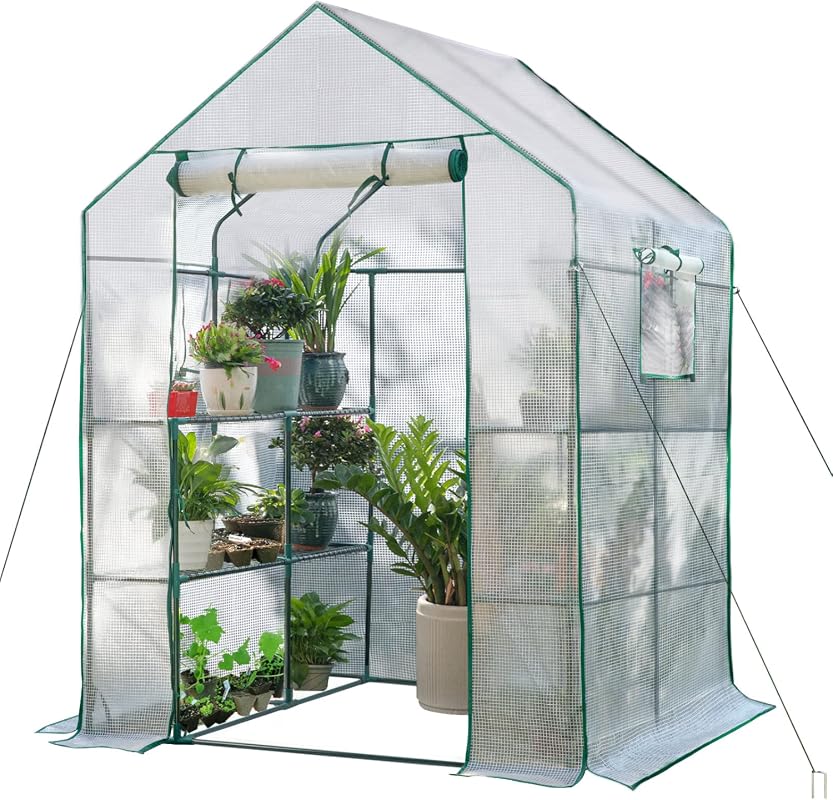 Large Walk-in Outdoor Greenhouse