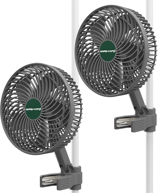Fan