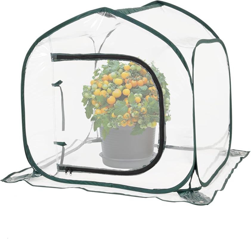 Mini Transparent Pop-Up Greenhouse