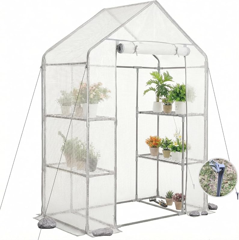 Spacious 55x29x77 Walk-in Greenhouse Outdoor Plant Shelter for Year-Ro