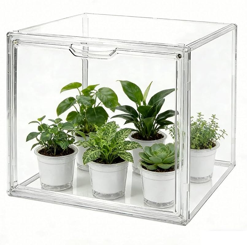 Mini Greenhouse