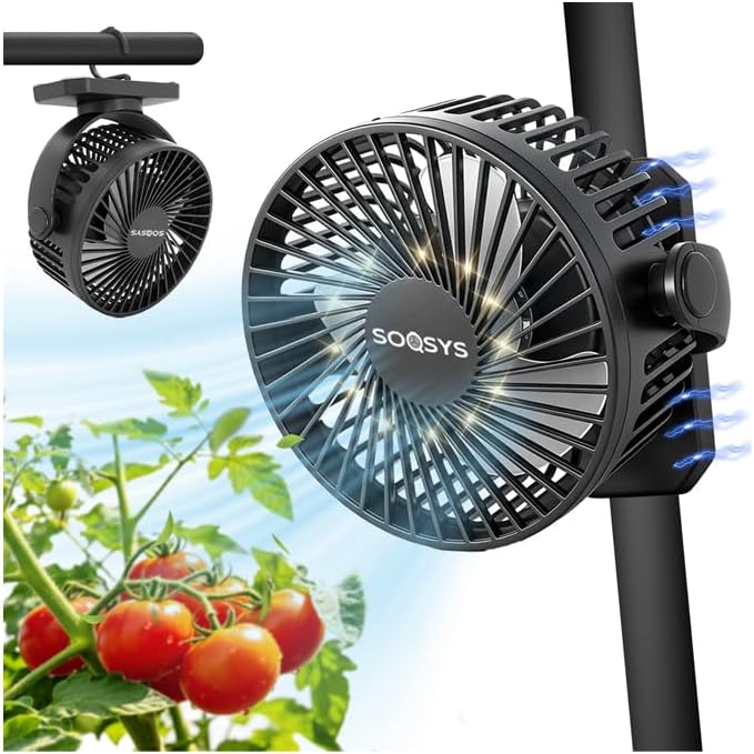 Fan