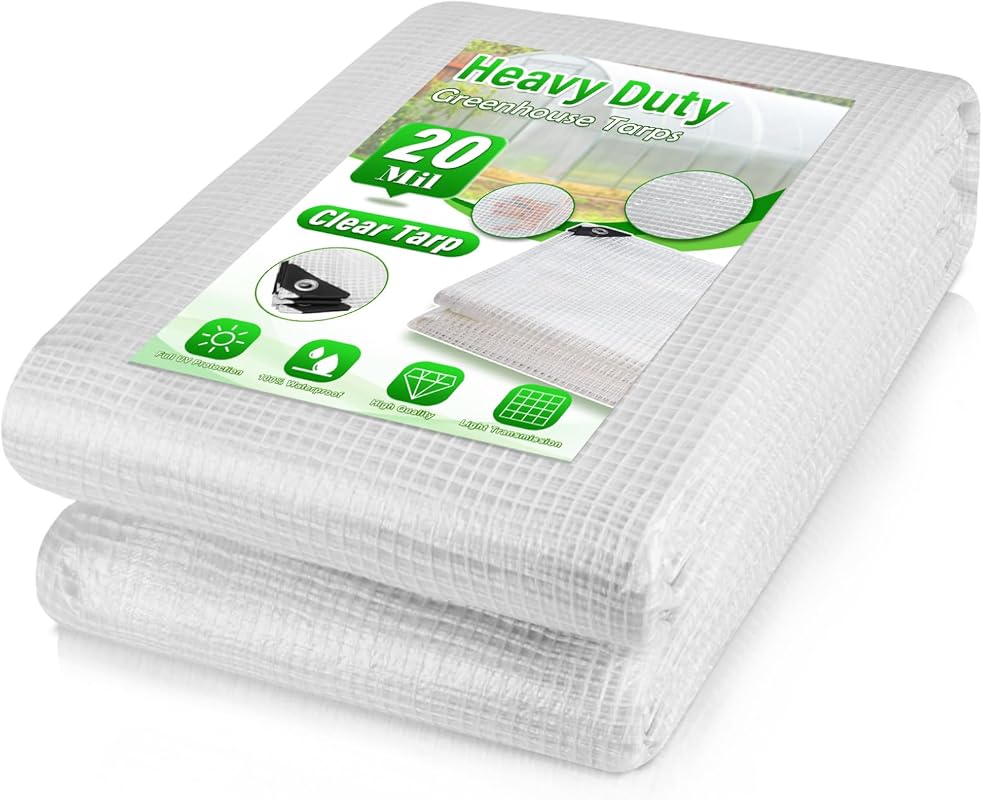 Tarp
